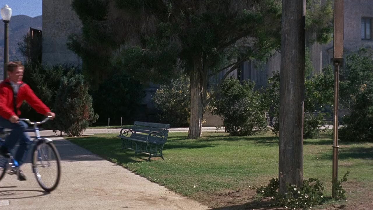 The Ladies Man screenshot 2