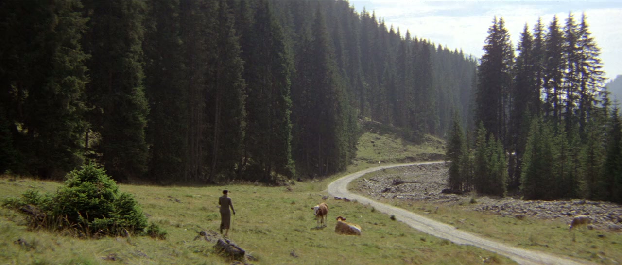 The Lady Vanishes screenshot 2