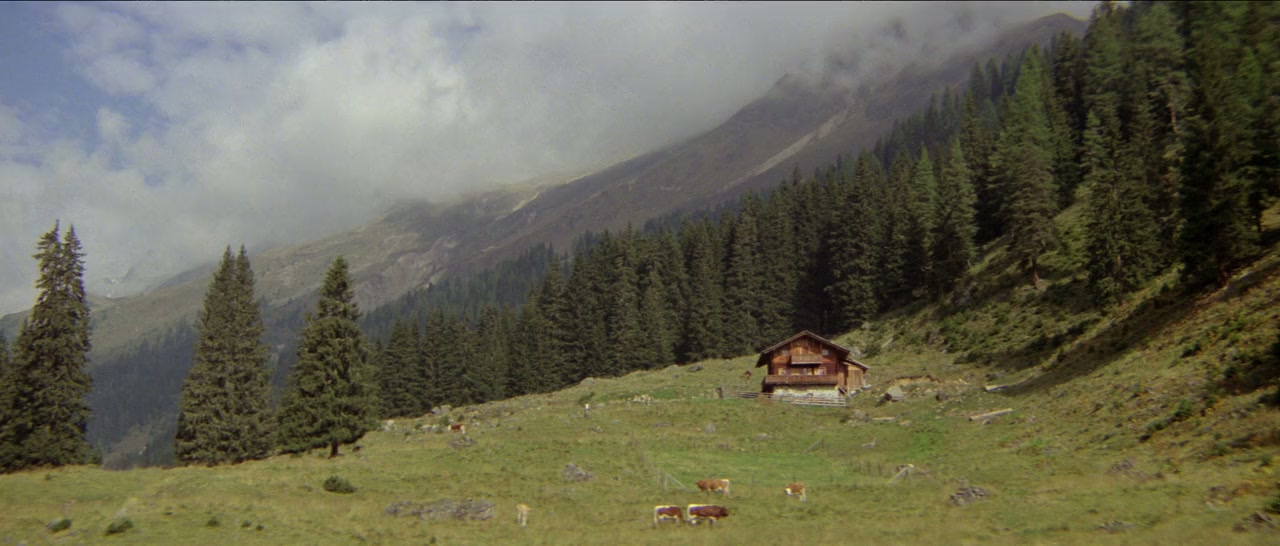 The Lady Vanishes screenshot 3