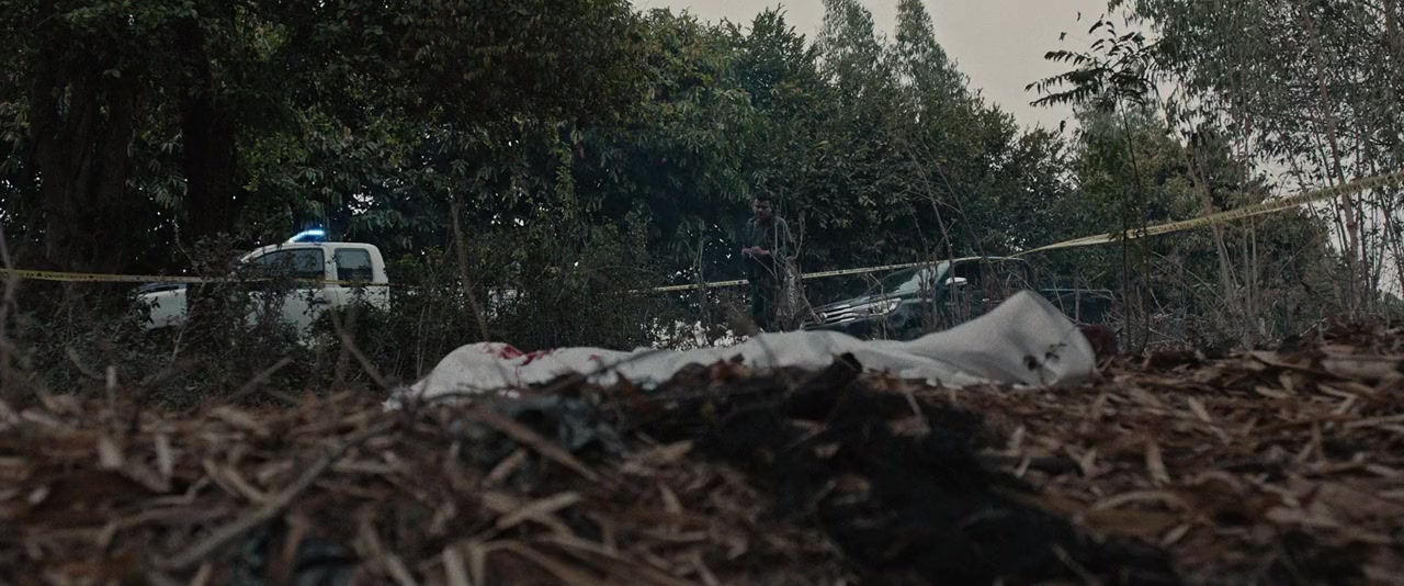 The Lake screenshot 1