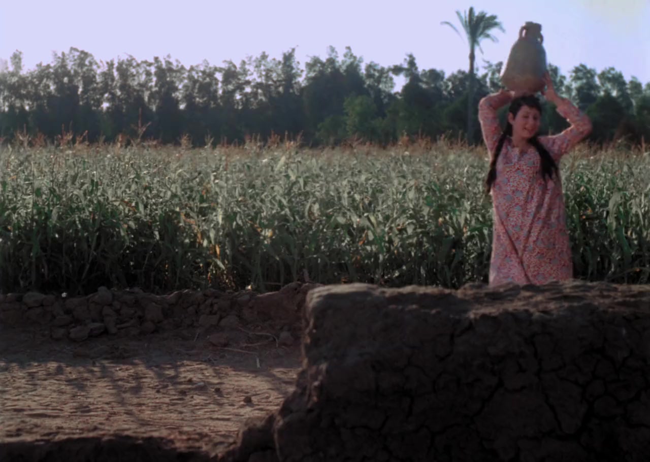 Al-ard screenshot 2