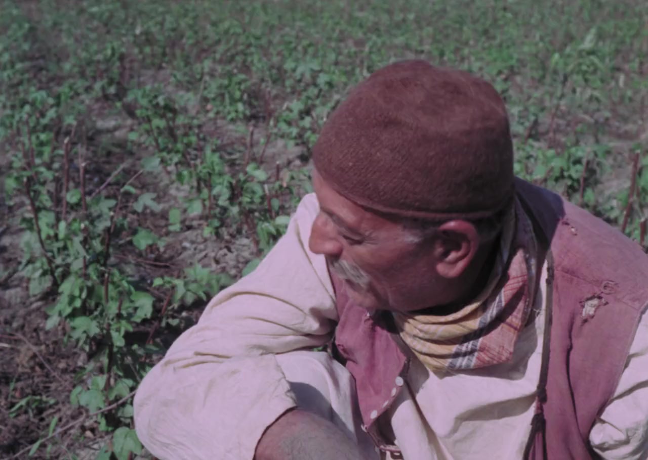 Al-ard screenshot 3
