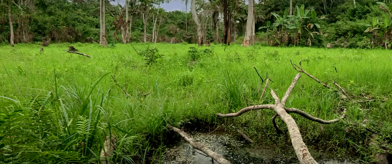 The Land Beneath Our Feet screenshot 2