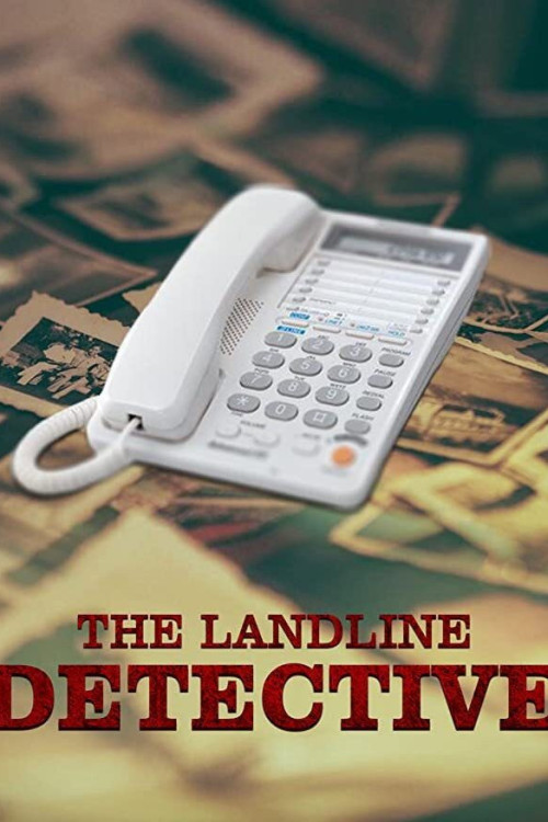 The Landline Detective (2020) poster