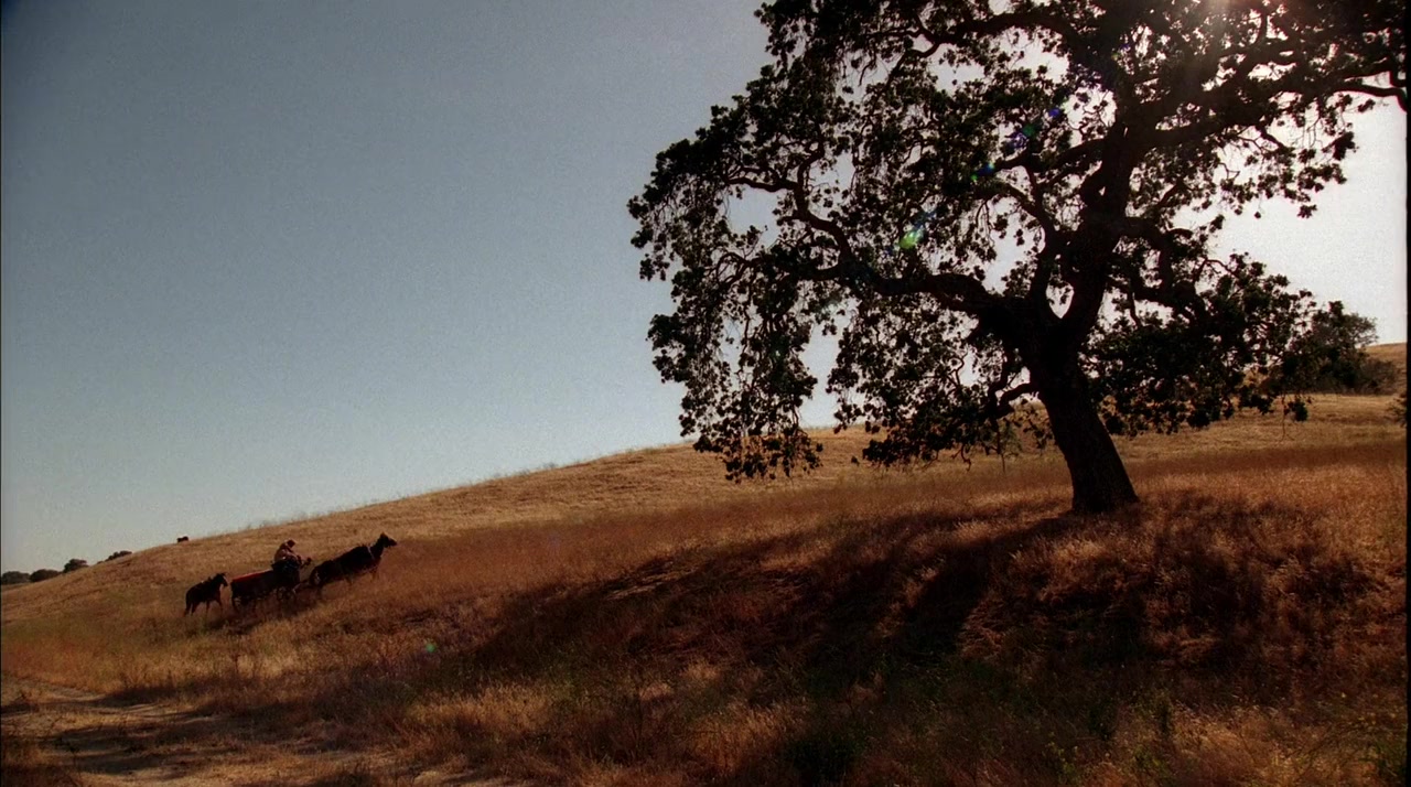 The Last Cowboy screenshot 1