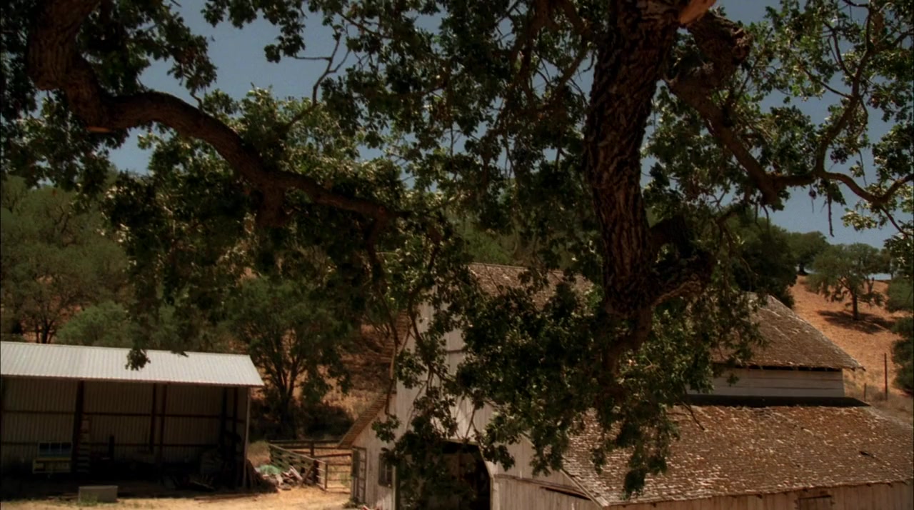 The Last Cowboy screenshot 2