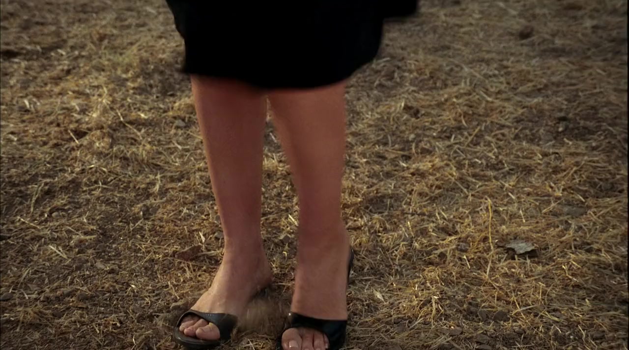 The Last Cowboy screenshot 3