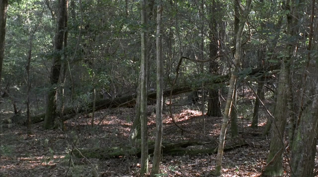Strike the Tent screenshot 1