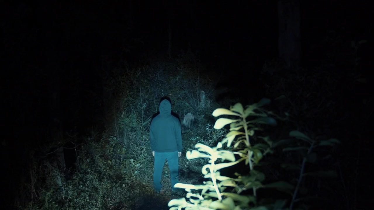 The Last Cabin screenshot 1