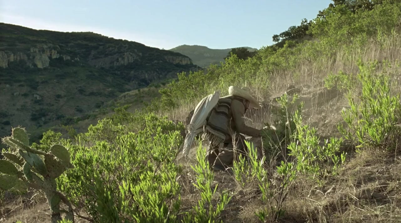Los últimos cristeros screenshot 3