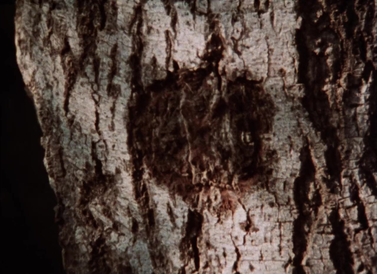 The Last of the American Hobos screenshot 3