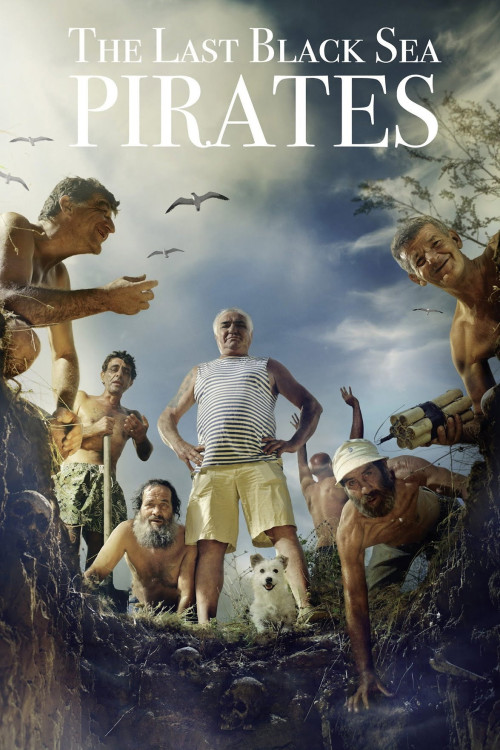 The Last Black Sea Pirates (2013) poster