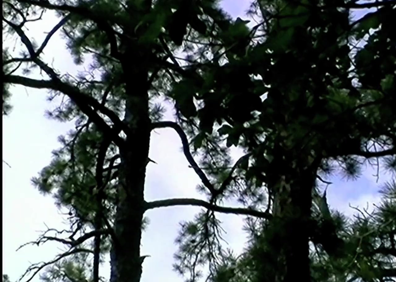 The Last Broadcast screenshot 2