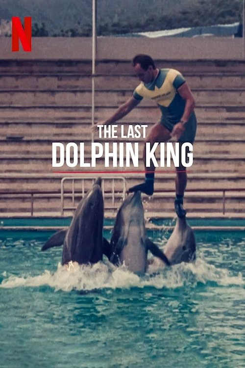 ¿Qué le pasó al rey de los delfines? (2022) poster