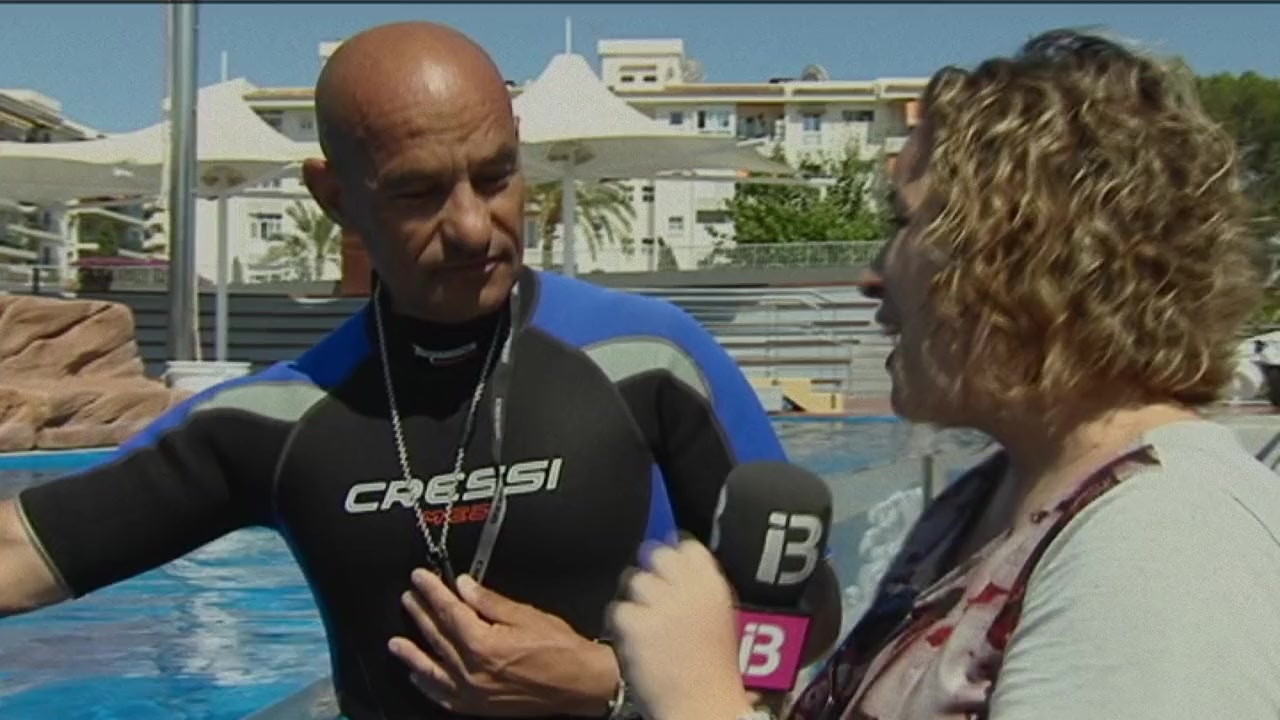 ¿Qué le pasó al rey de los delfines? screenshot 2