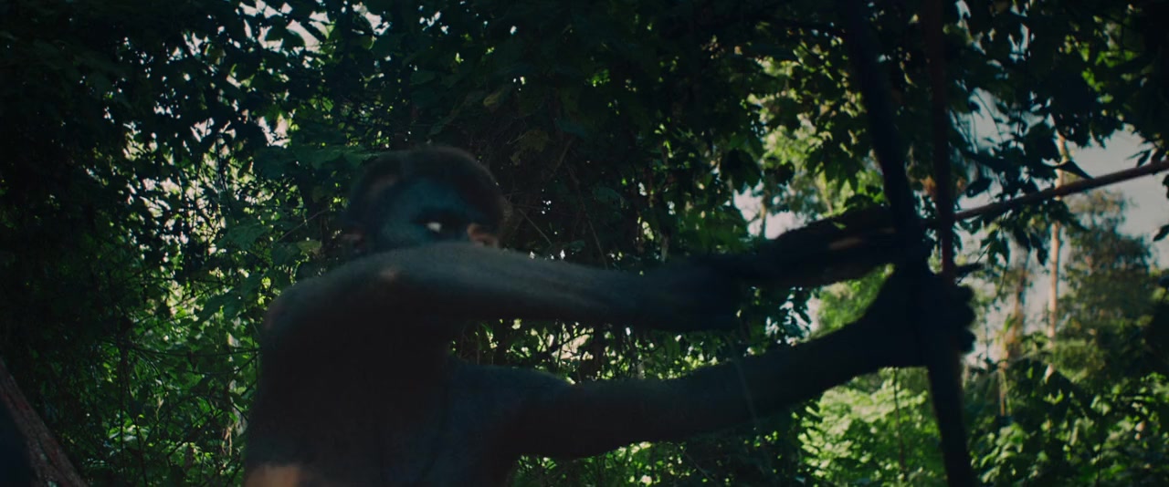 A Última Floresta screenshot 2