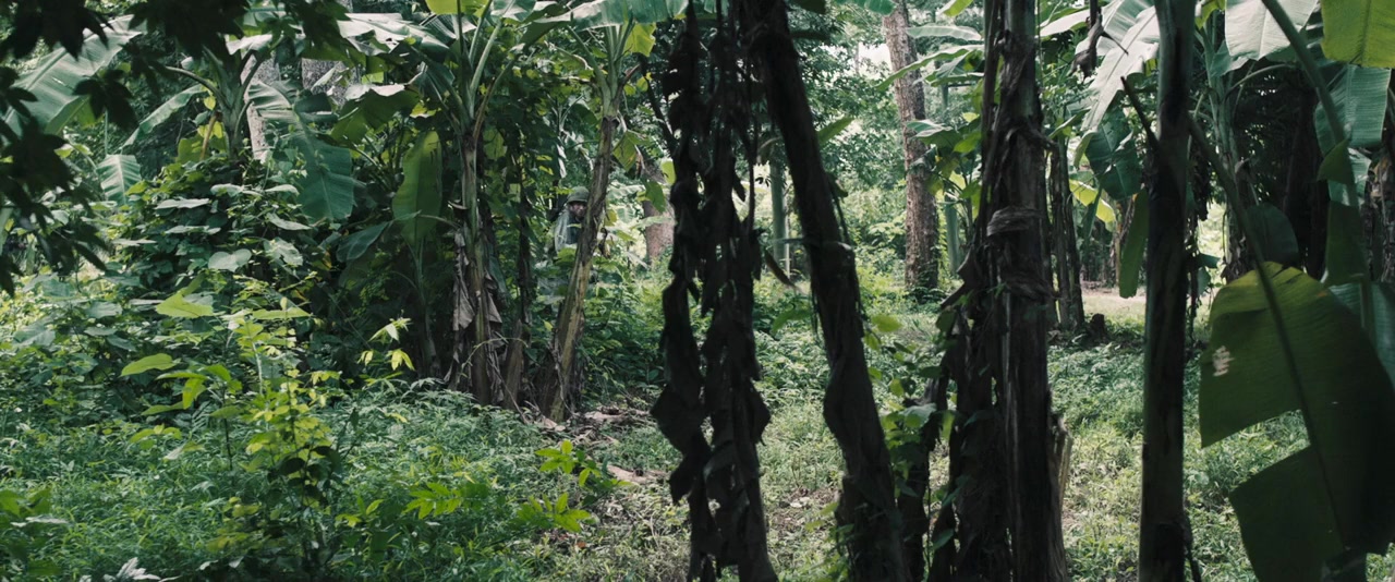 The Last Full Measure screenshot 1