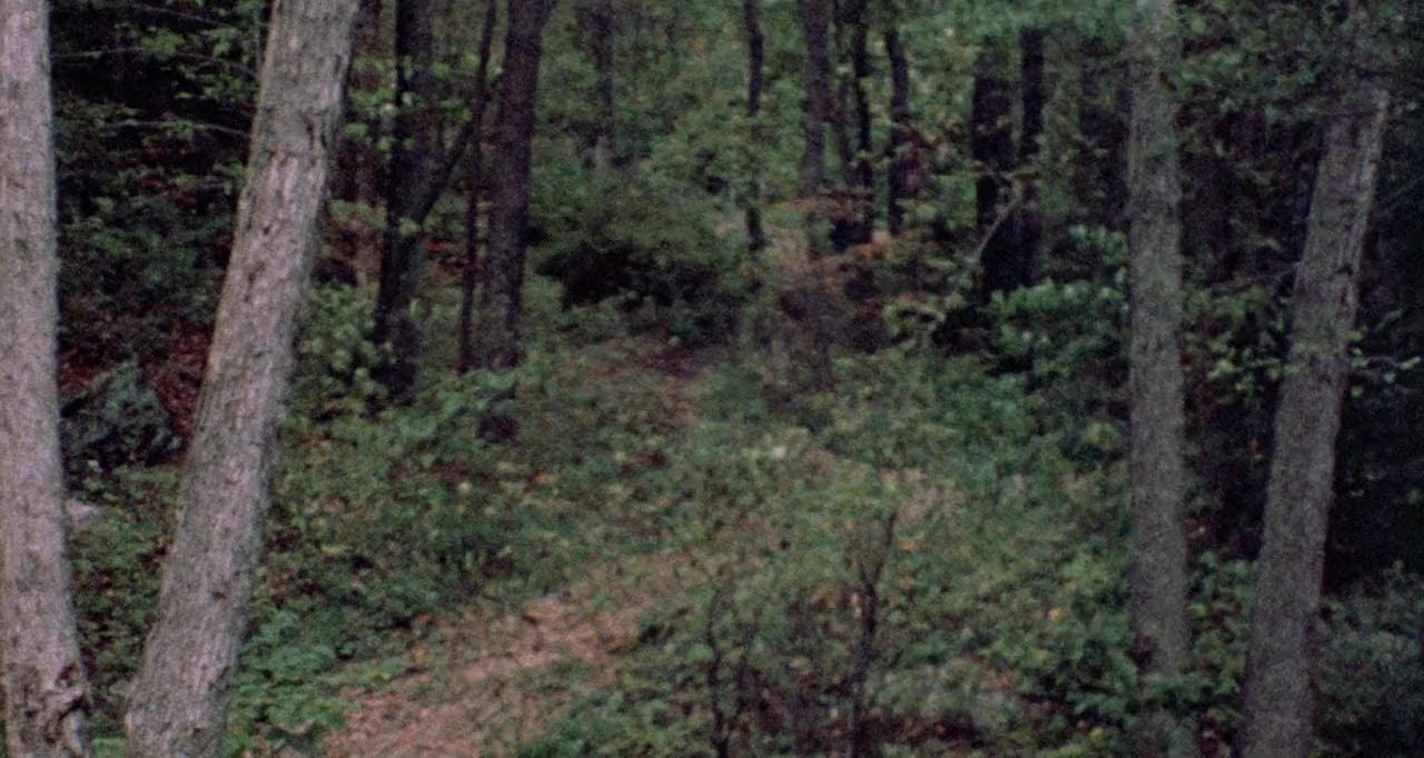 The Last House on the Left screenshot 1