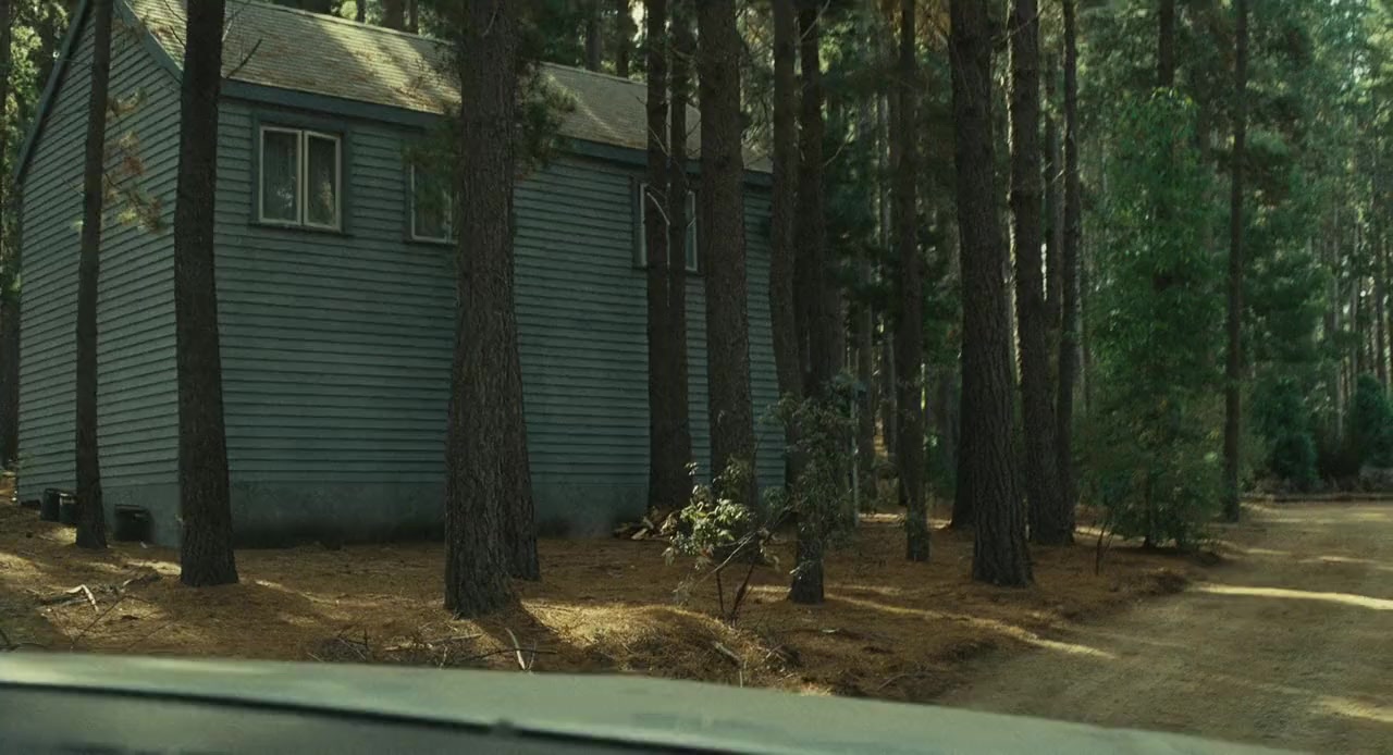 The Last House on the Left screenshot 3