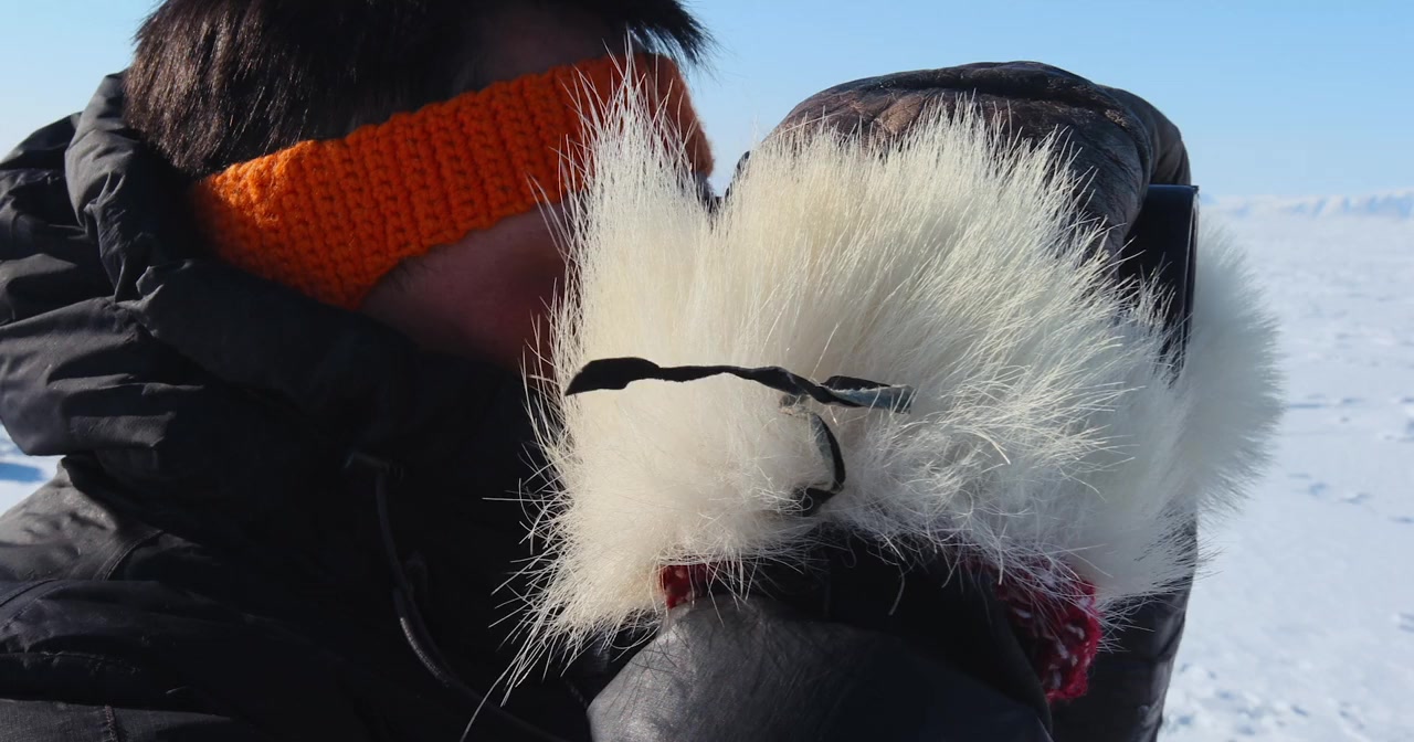 The Last Ice screenshot 2