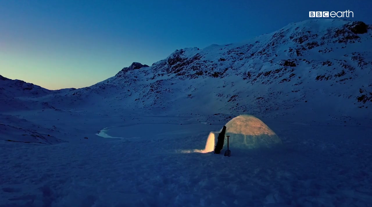 The Last Igloo screenshot 2