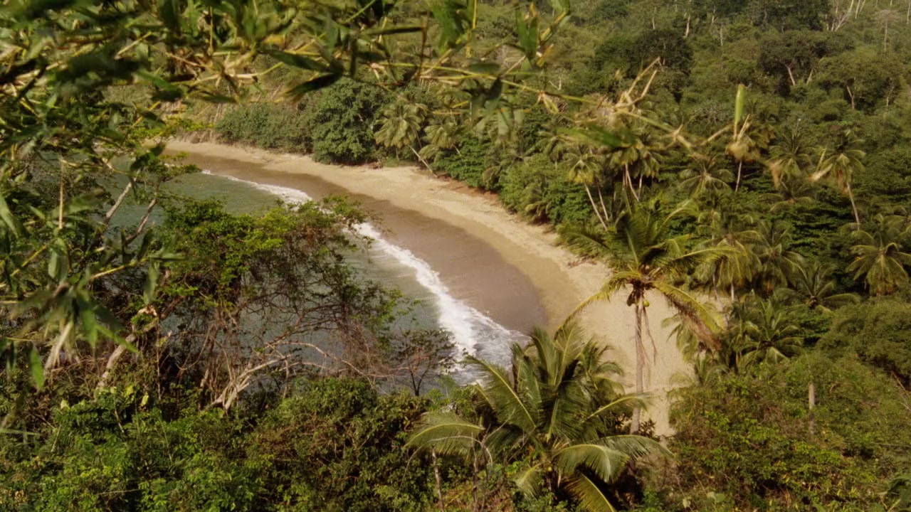The Last Island screenshot 1