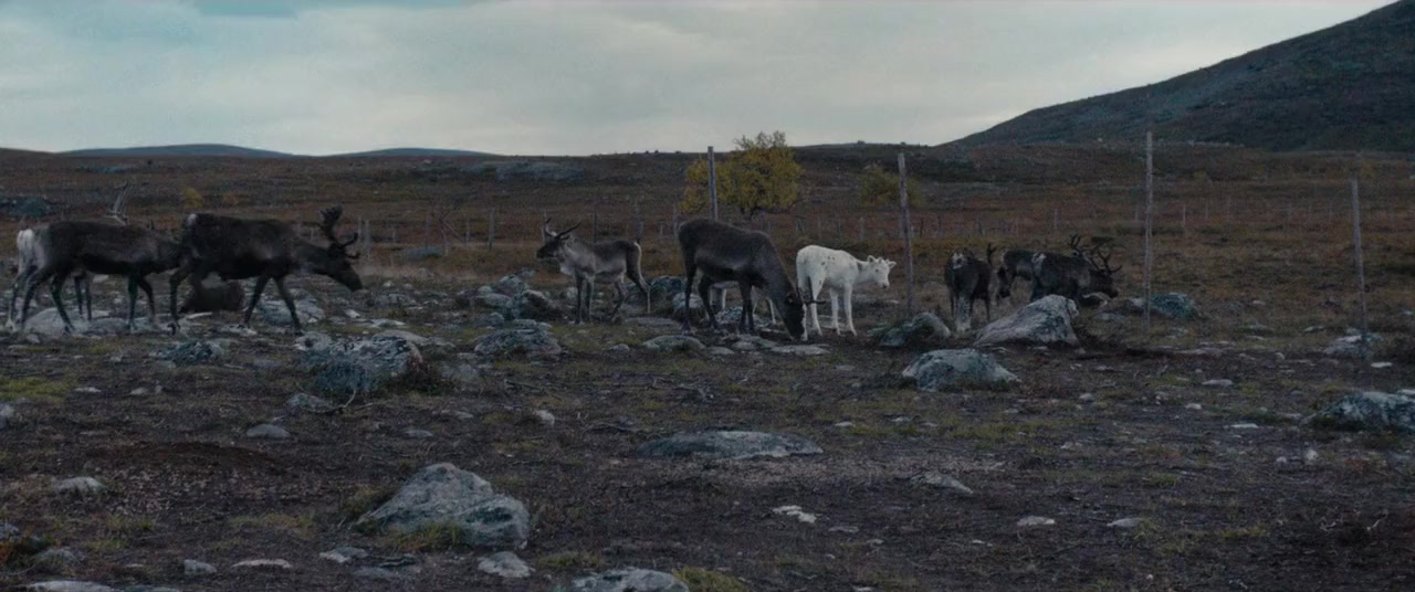 Viimeiset screenshot 1