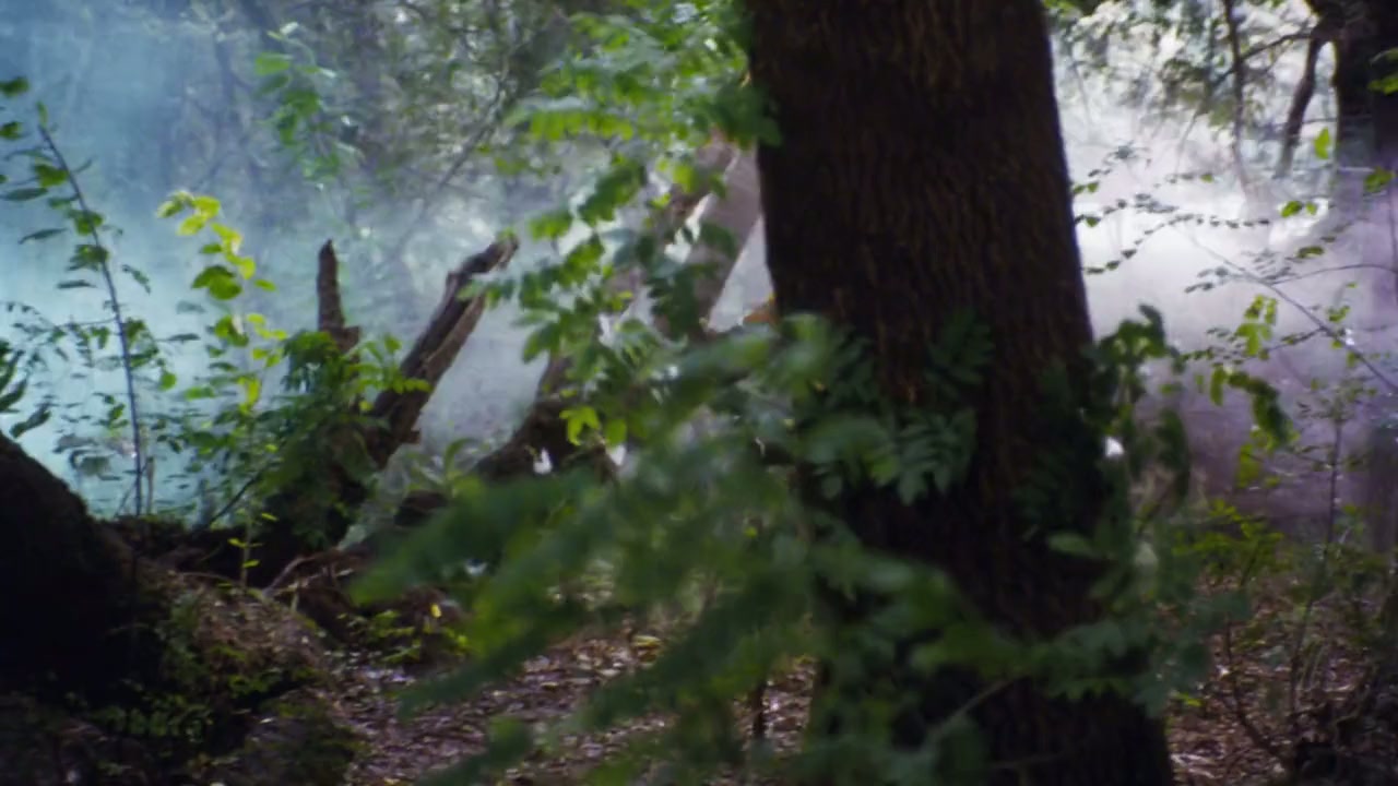 The Last Leprechaun screenshot 1