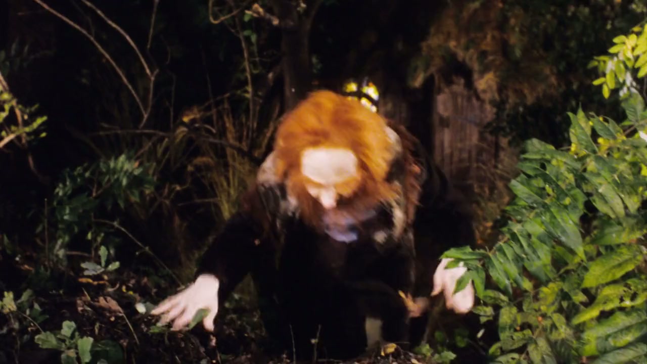 The Last Leprechaun screenshot 2