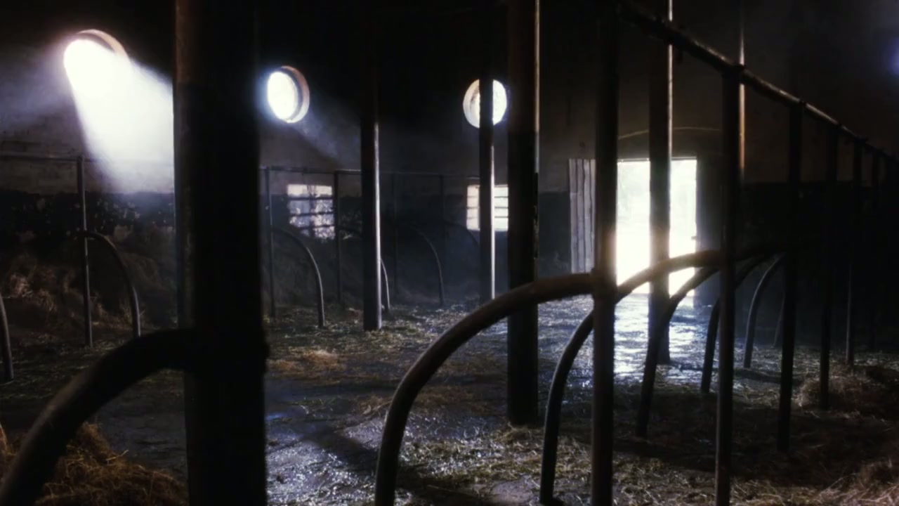 The Last Leprechaun screenshot 3