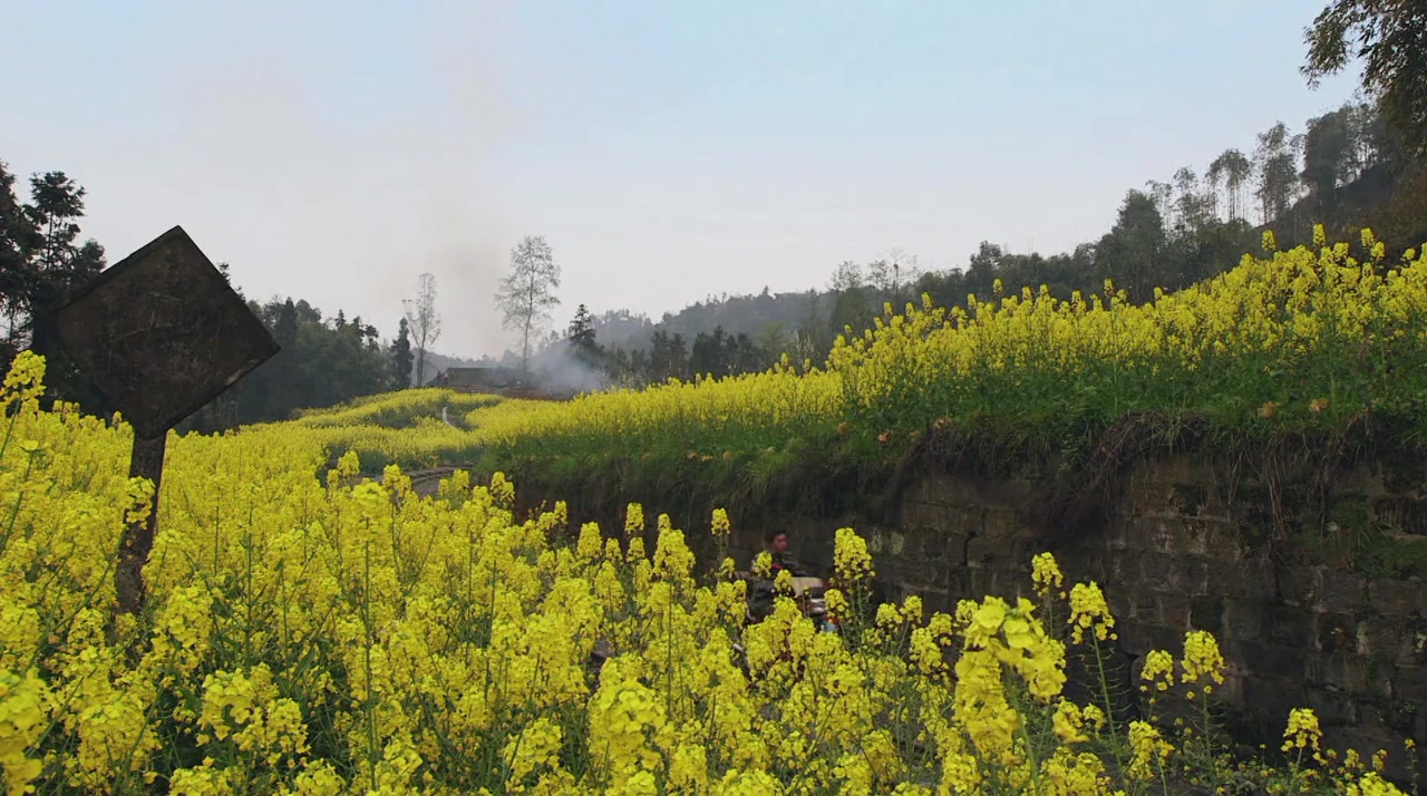 The Last Little Train in China screenshot 1
