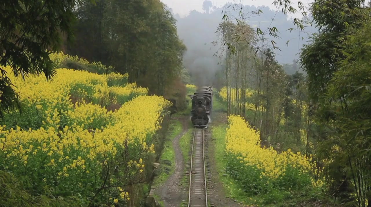 The Last Little Train in China screenshot 2