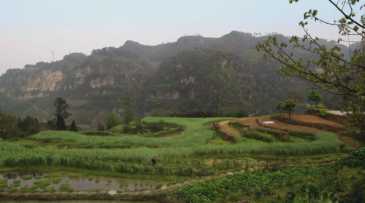 The Last Little Train in China screenshot 3