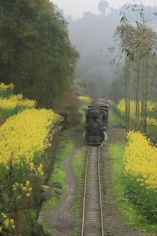 The Last Little Train in China (2014) poster