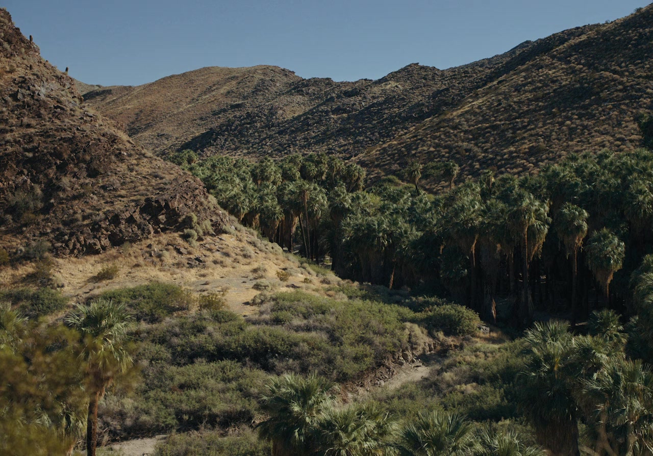 The Last Manhunt screenshot 1