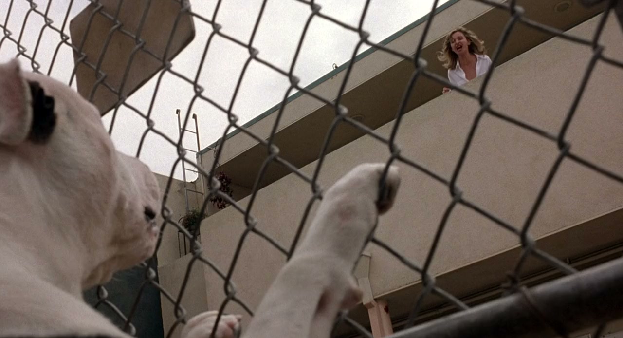 The Last Shot screenshot 1