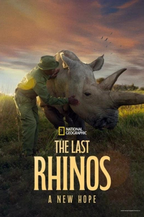 The Last Rhinos: A New Hope (2025) poster