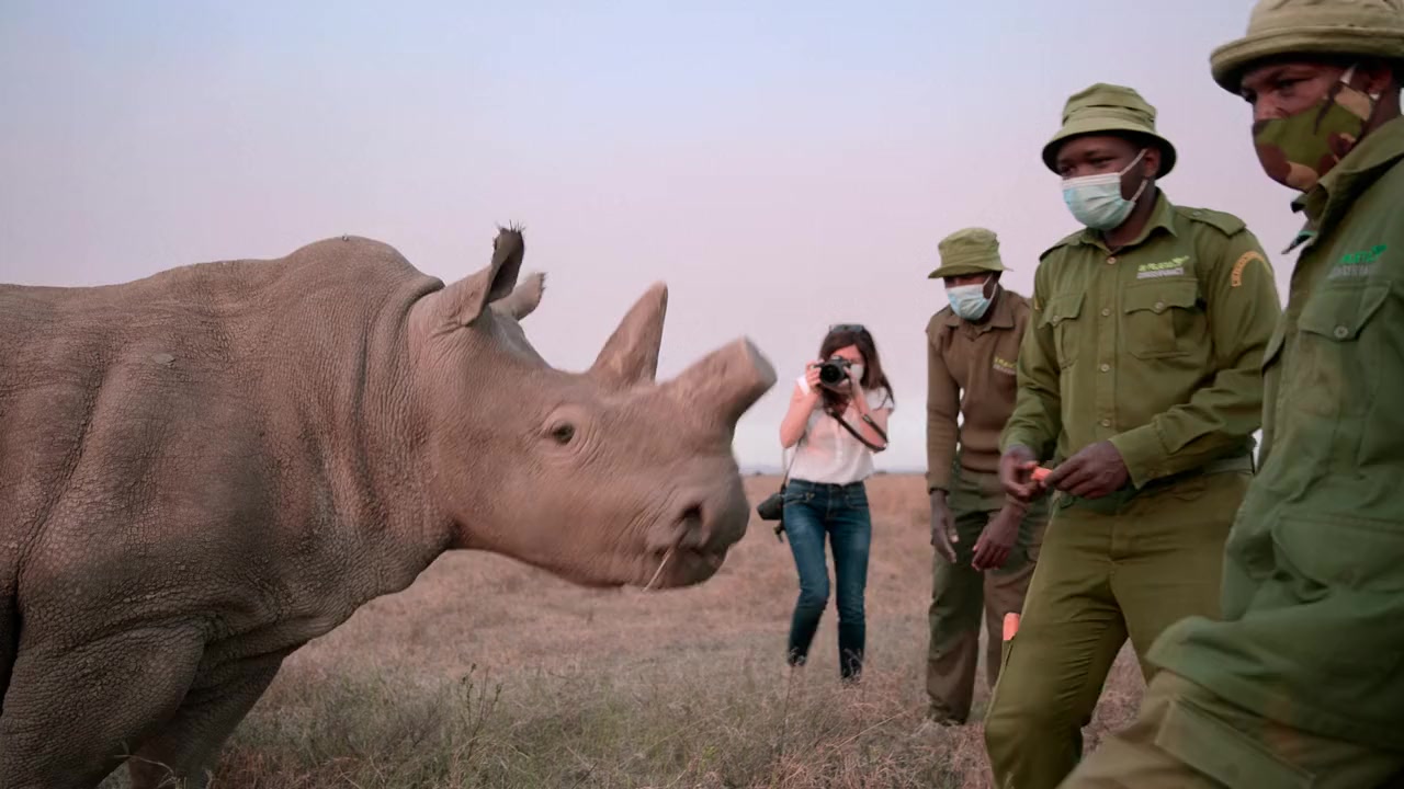 The Last Rhinos: A New Hope screenshot 2