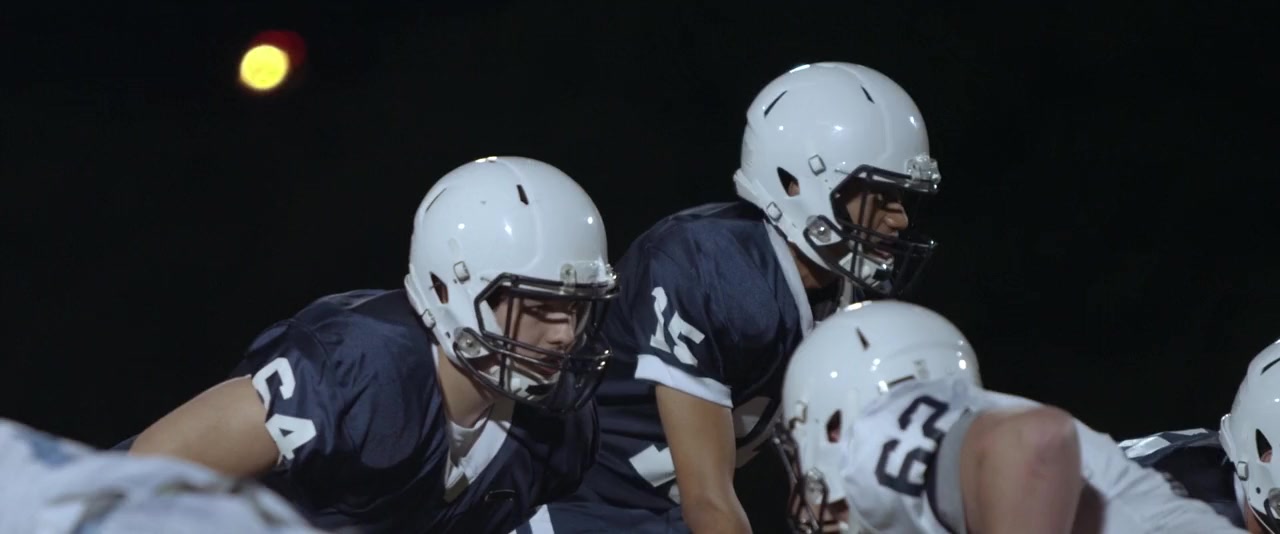 The Last Whistle screenshot 1