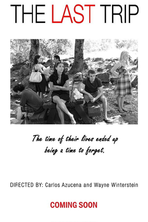 The Last Trip (2015) poster