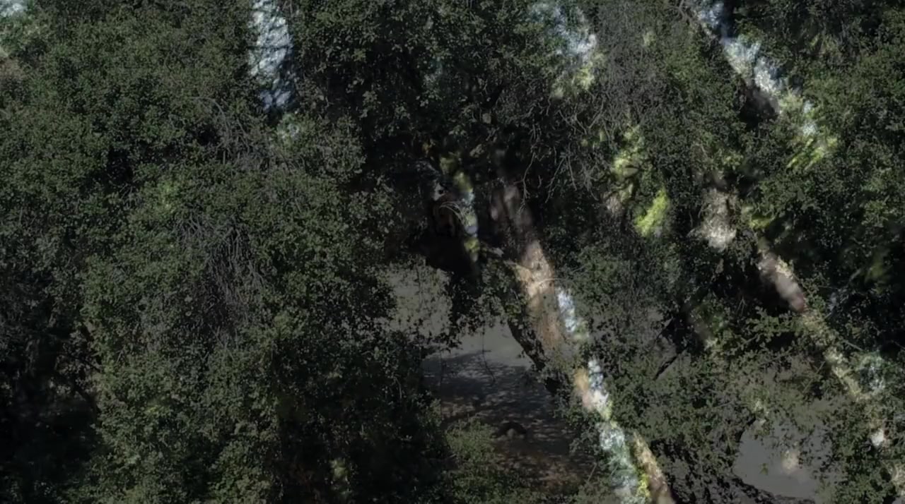 The Last Trip screenshot 1