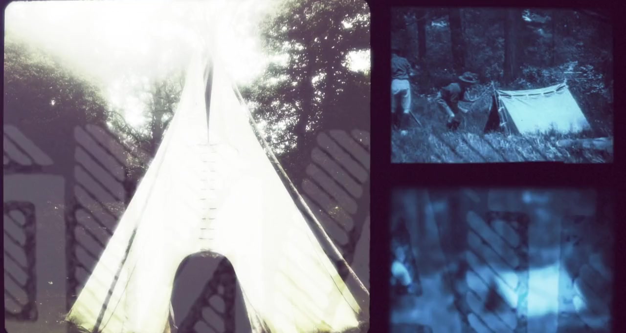 The Late Bloomer screenshot 2