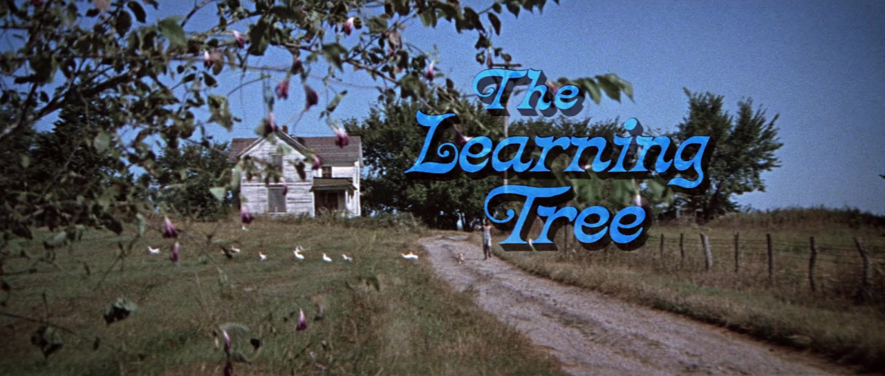 The Learning Tree screenshot 2