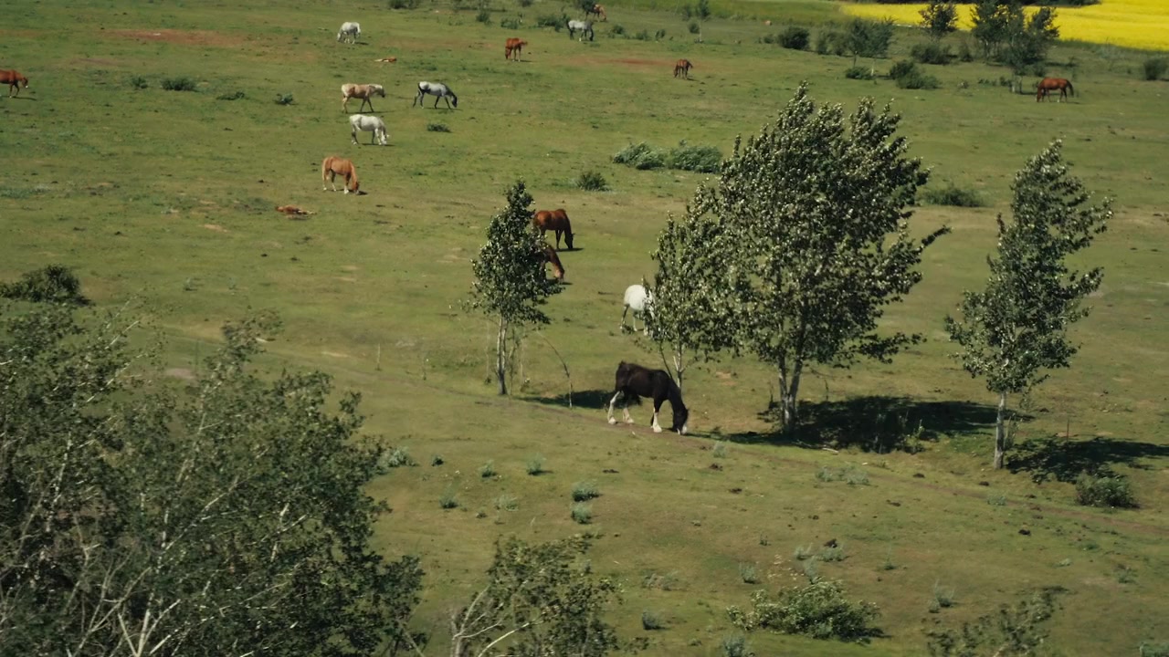 The Lebanese Burger Mafia screenshot 2