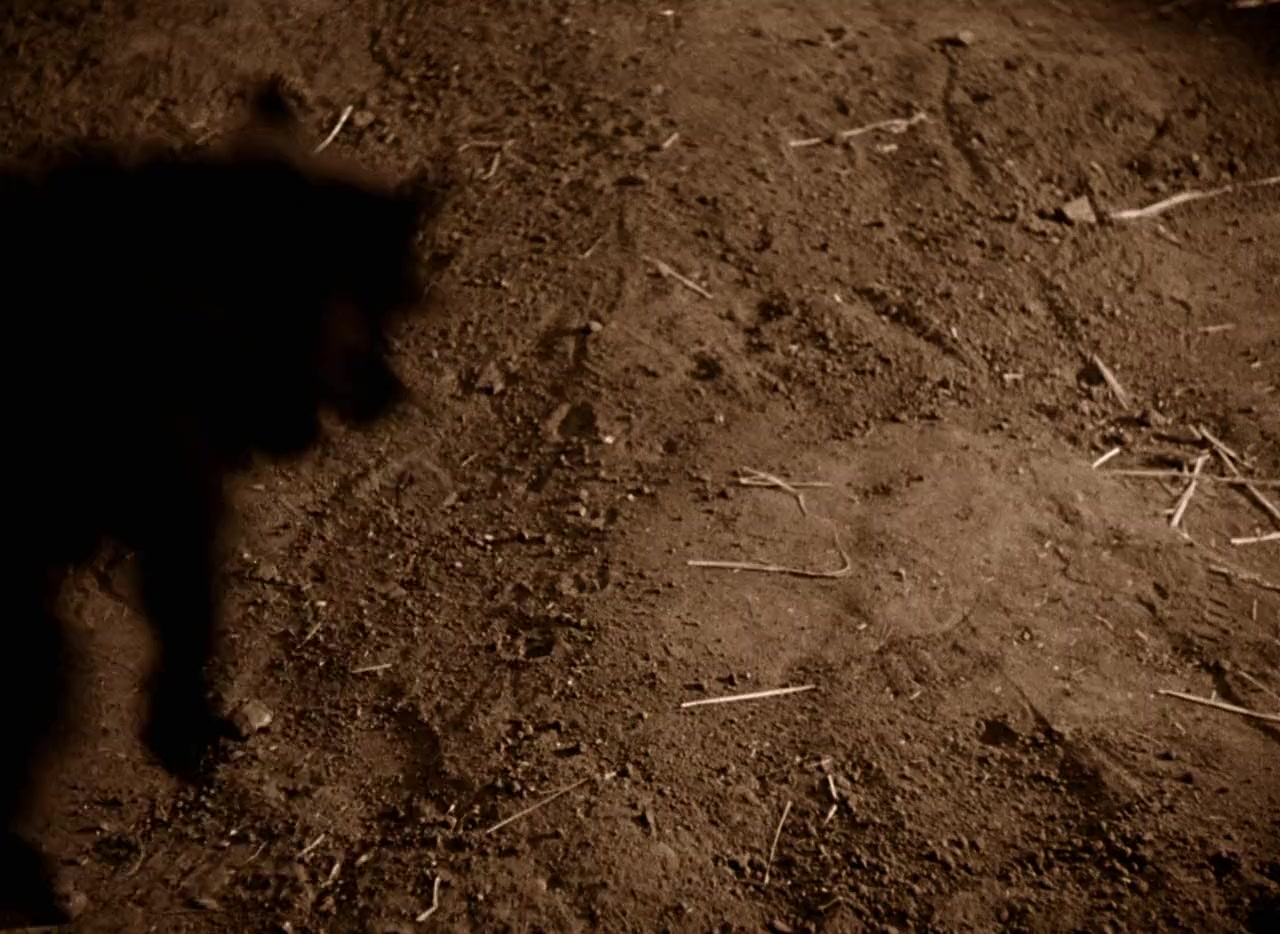 The Legend Floyd: The Dark Side of the Rainbow screenshot 1