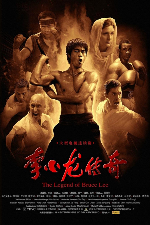 Li Xiao Long chuan qi (2008) poster