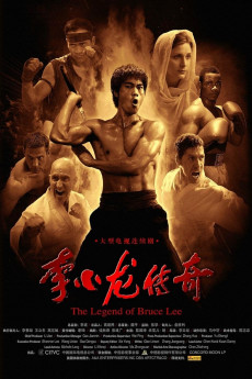 Li Xiao Long chuan qi (2008) poster