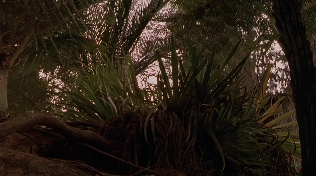 The Legend of Johnny Lingo screenshot 3