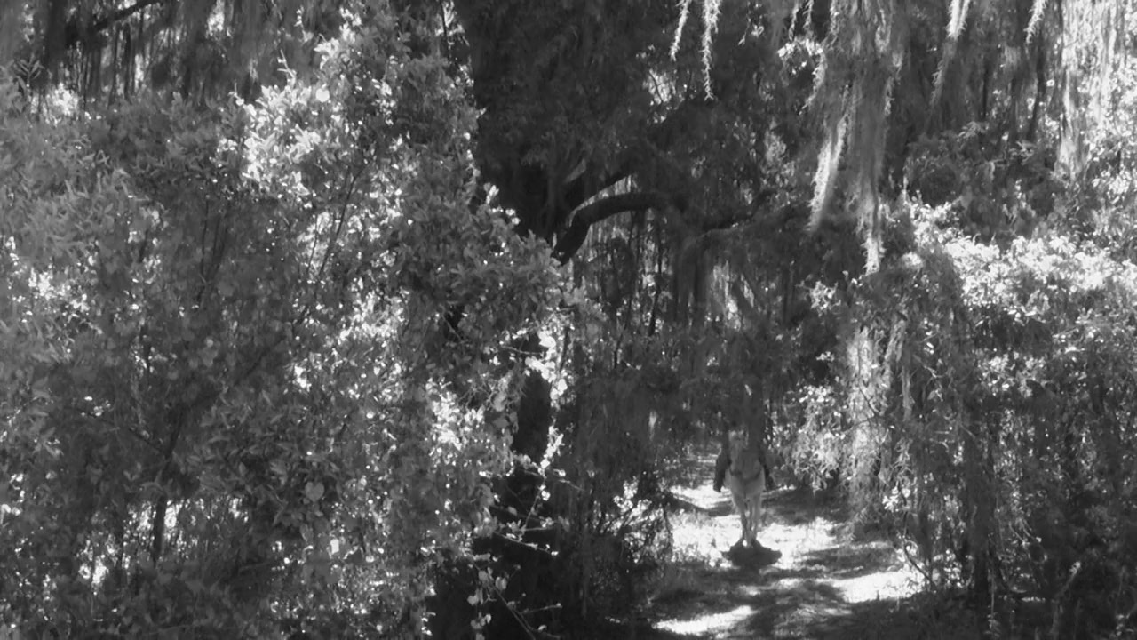 The Legend of Kate Kensington screenshot 1
