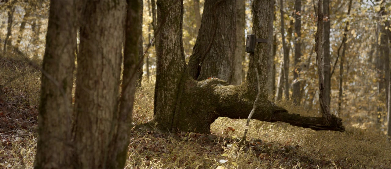 The Legend of Lake Hollow screenshot 1